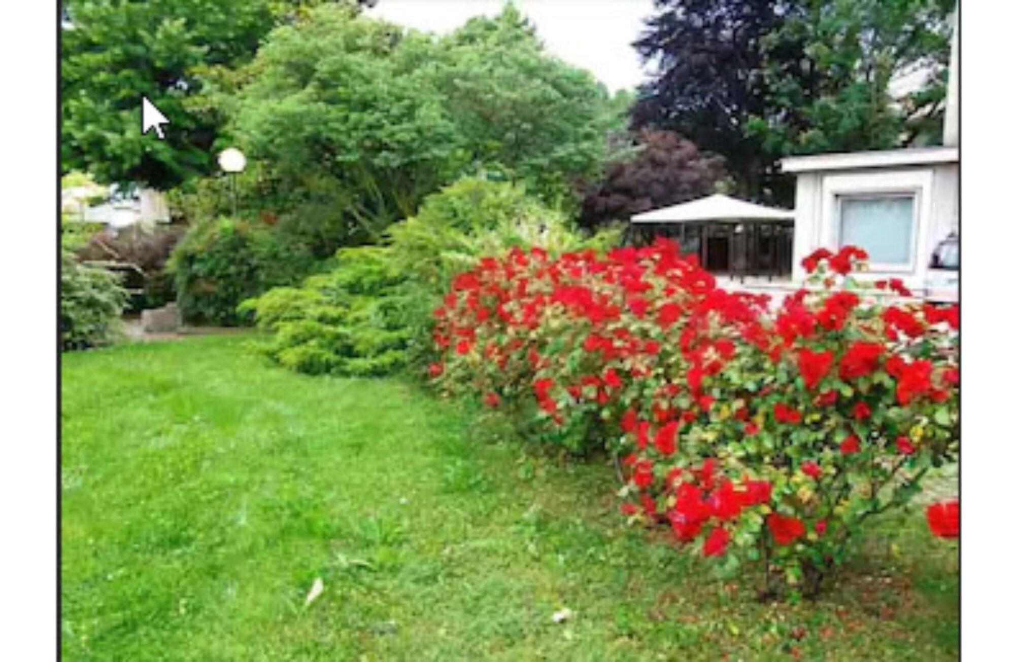 Best Western Park Hotel Continental San Donà di Piave Exteriör bild